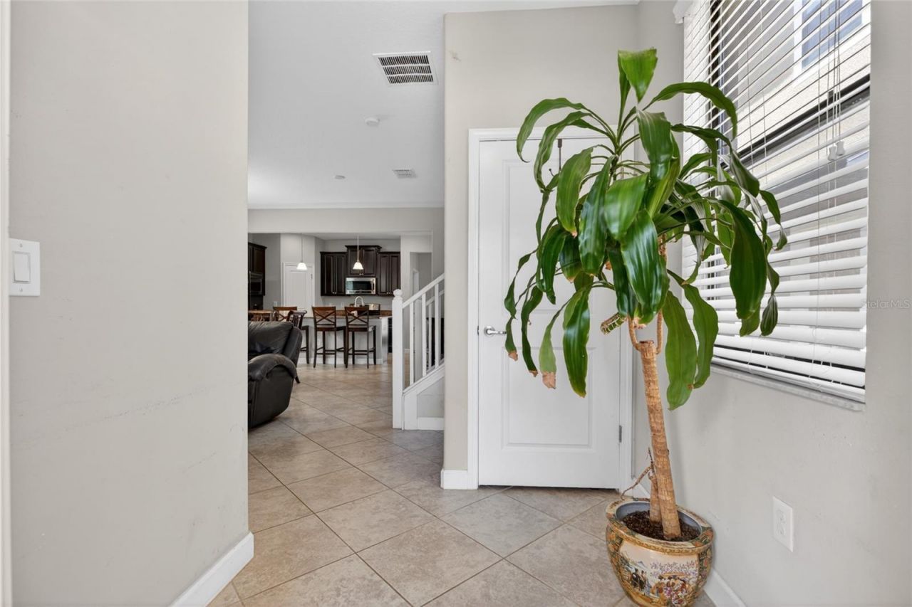 28622 Tranquil Lake Circle, Wesley Chapel, FL 33543 Photo