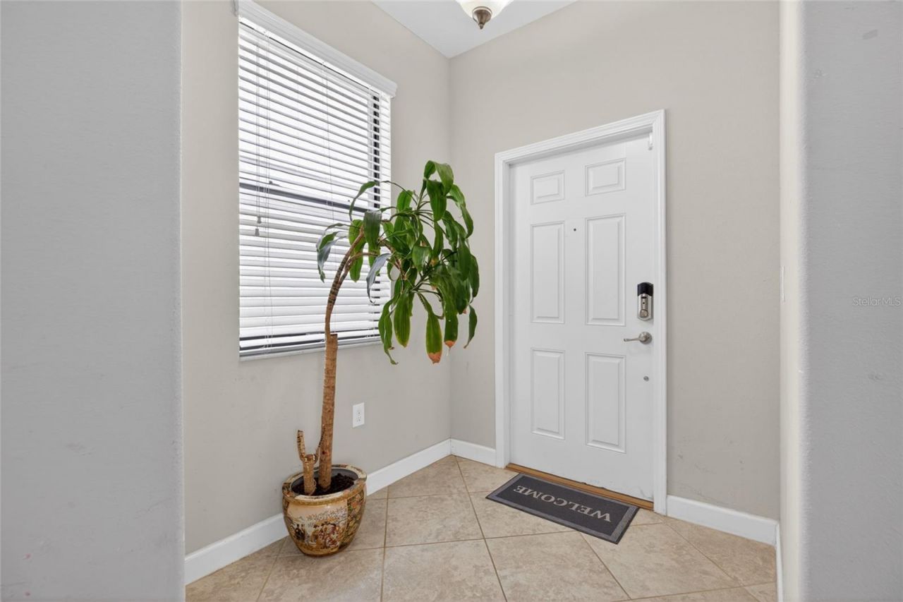 28622 Tranquil Lake Circle, Wesley Chapel, FL 33543 Photo