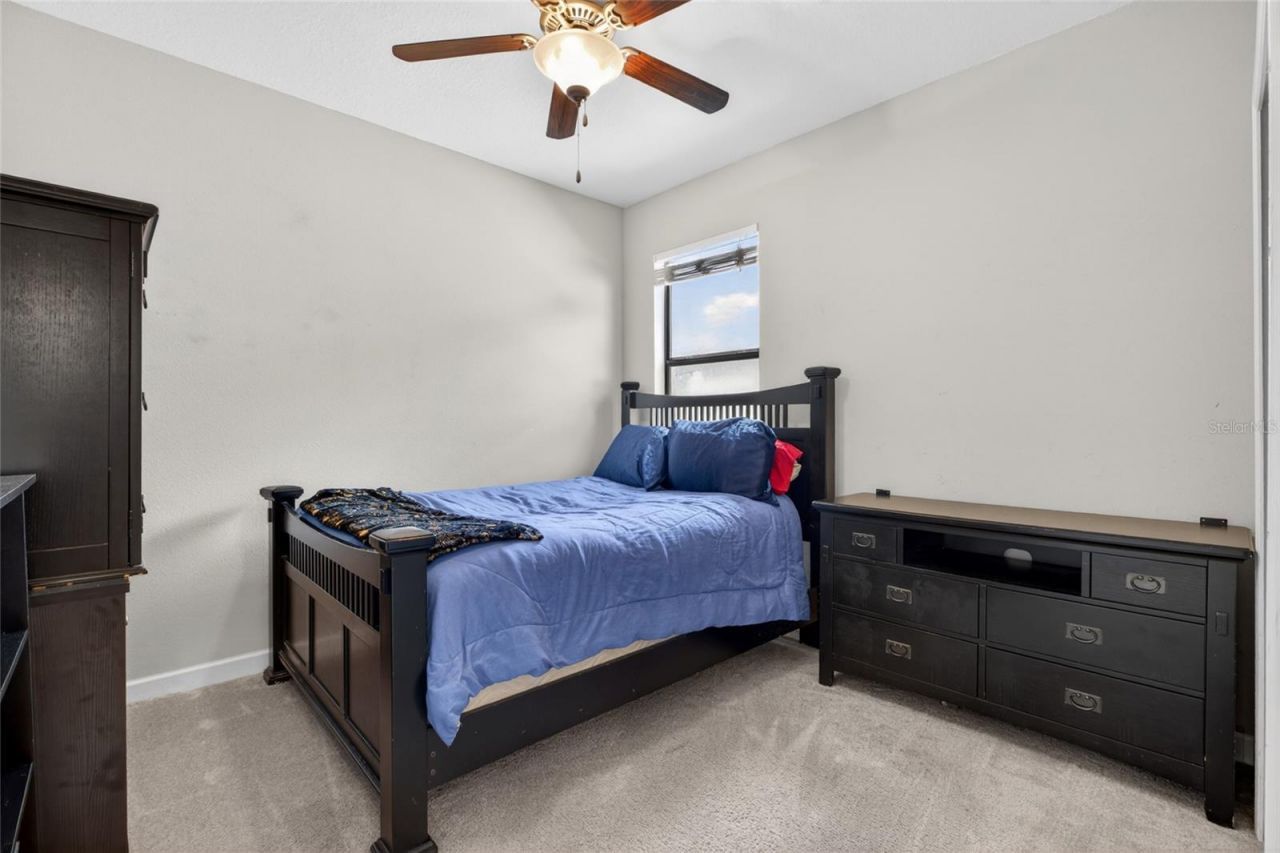 28622 Tranquil Lake Circle, Wesley Chapel, FL 33543 Photo