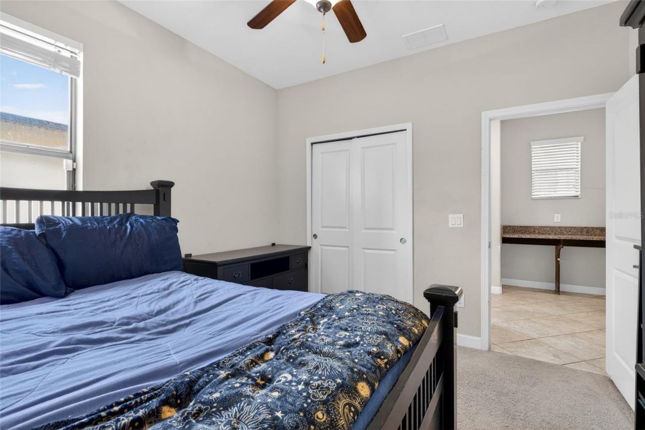 28622 Tranquil Lake Circle, Wesley Chapel, FL 33543 Photo