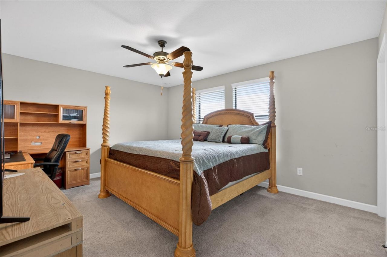 28622 Tranquil Lake Circle, Wesley Chapel, FL 33543 Photo