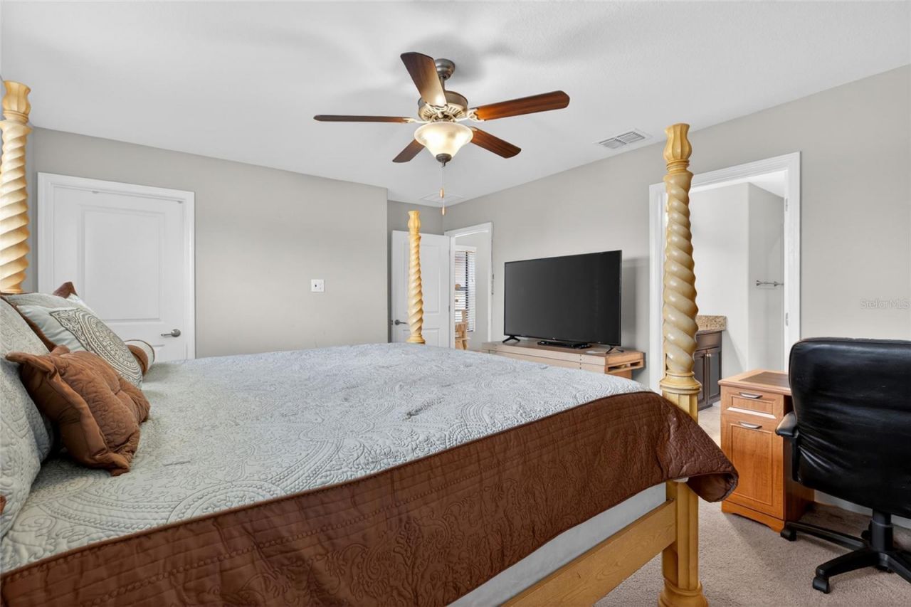 28622 Tranquil Lake Circle, Wesley Chapel, FL 33543 Photo