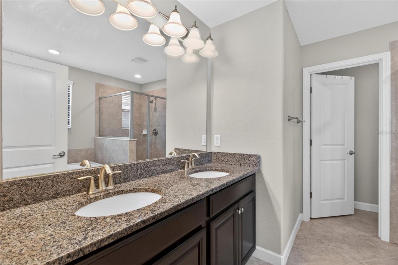 28622 Tranquil Lake Circle, Wesley Chapel, FL 33543 Photo