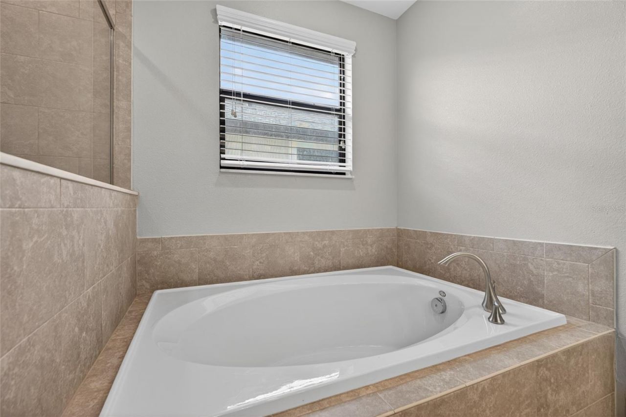 28622 Tranquil Lake Circle, Wesley Chapel, FL 33543 Photo