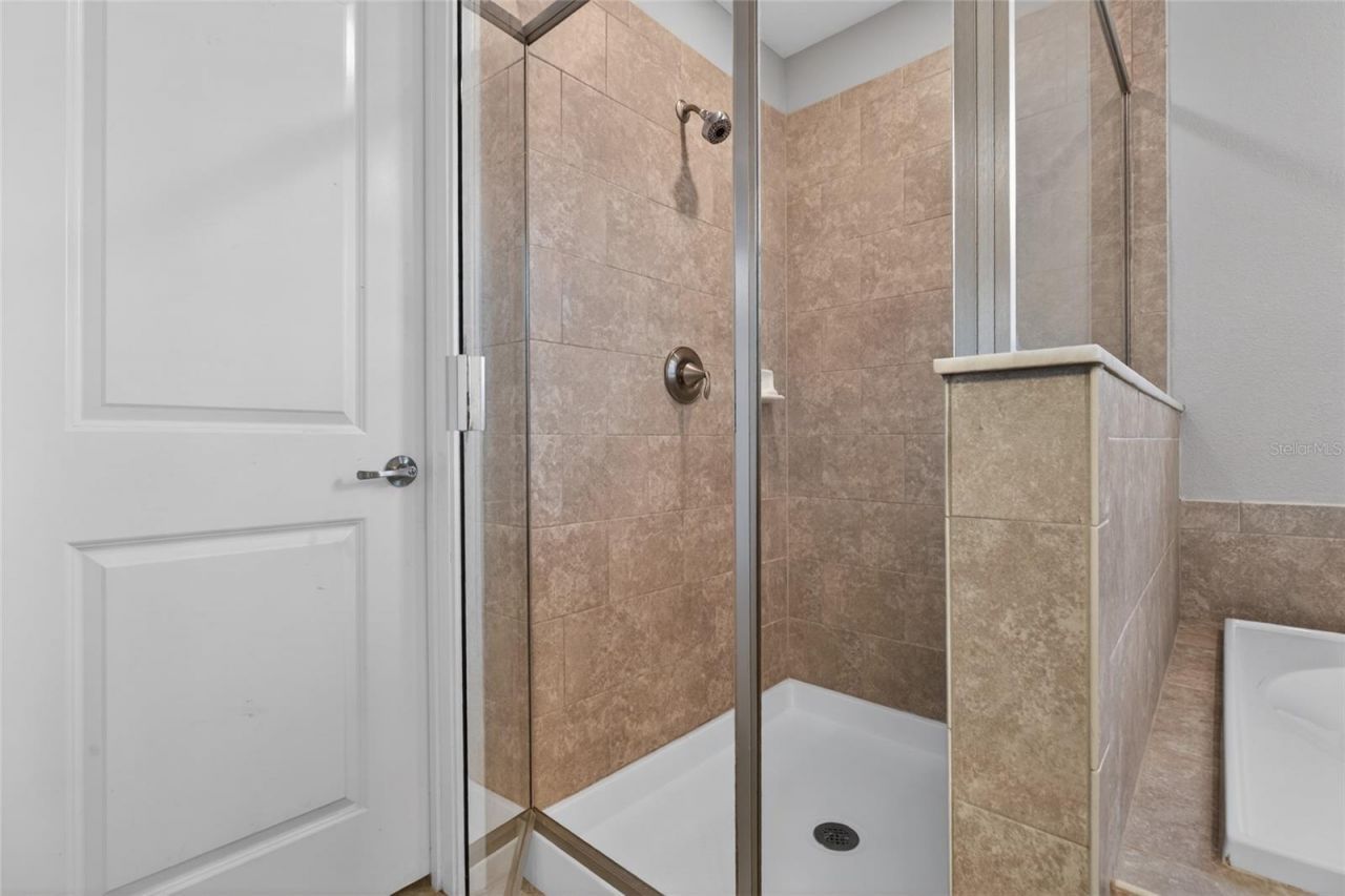 28622 Tranquil Lake Circle, Wesley Chapel, FL 33543 Photo