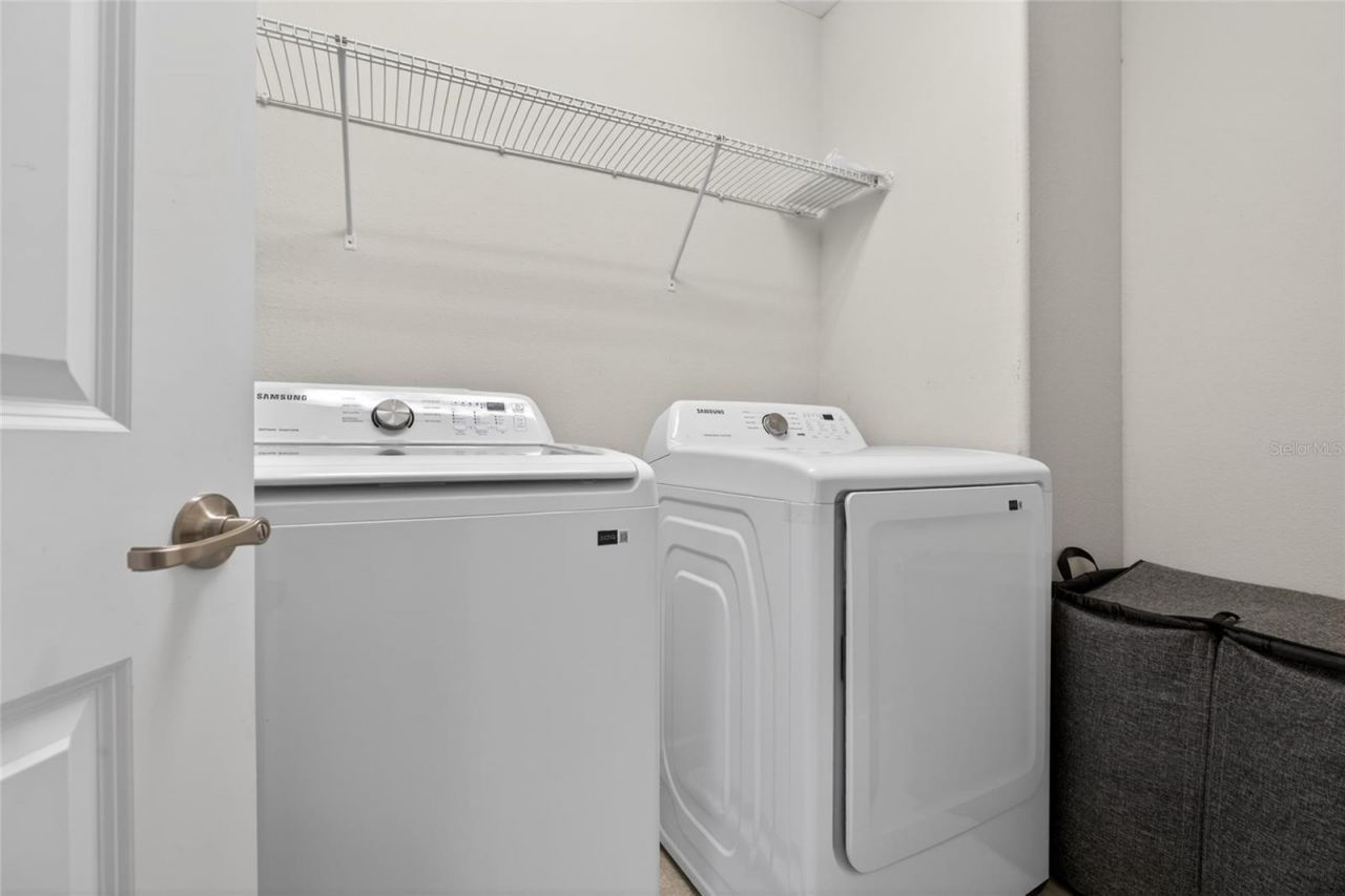 28622 Tranquil Lake Circle, Wesley Chapel, FL 33543 Photo