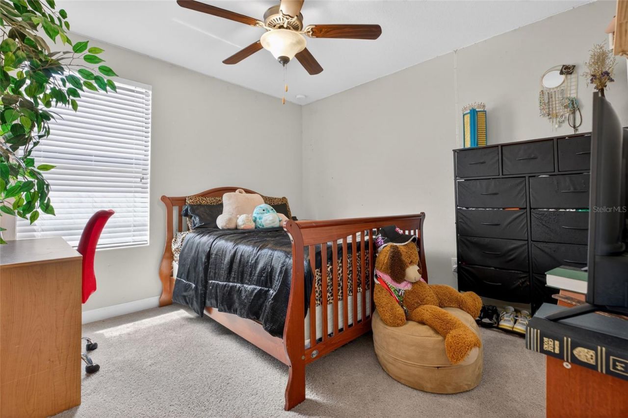 28622 Tranquil Lake Circle, Wesley Chapel, FL 33543 Photo