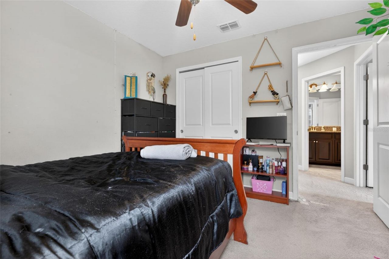 28622 Tranquil Lake Circle, Wesley Chapel, FL 33543 Photo