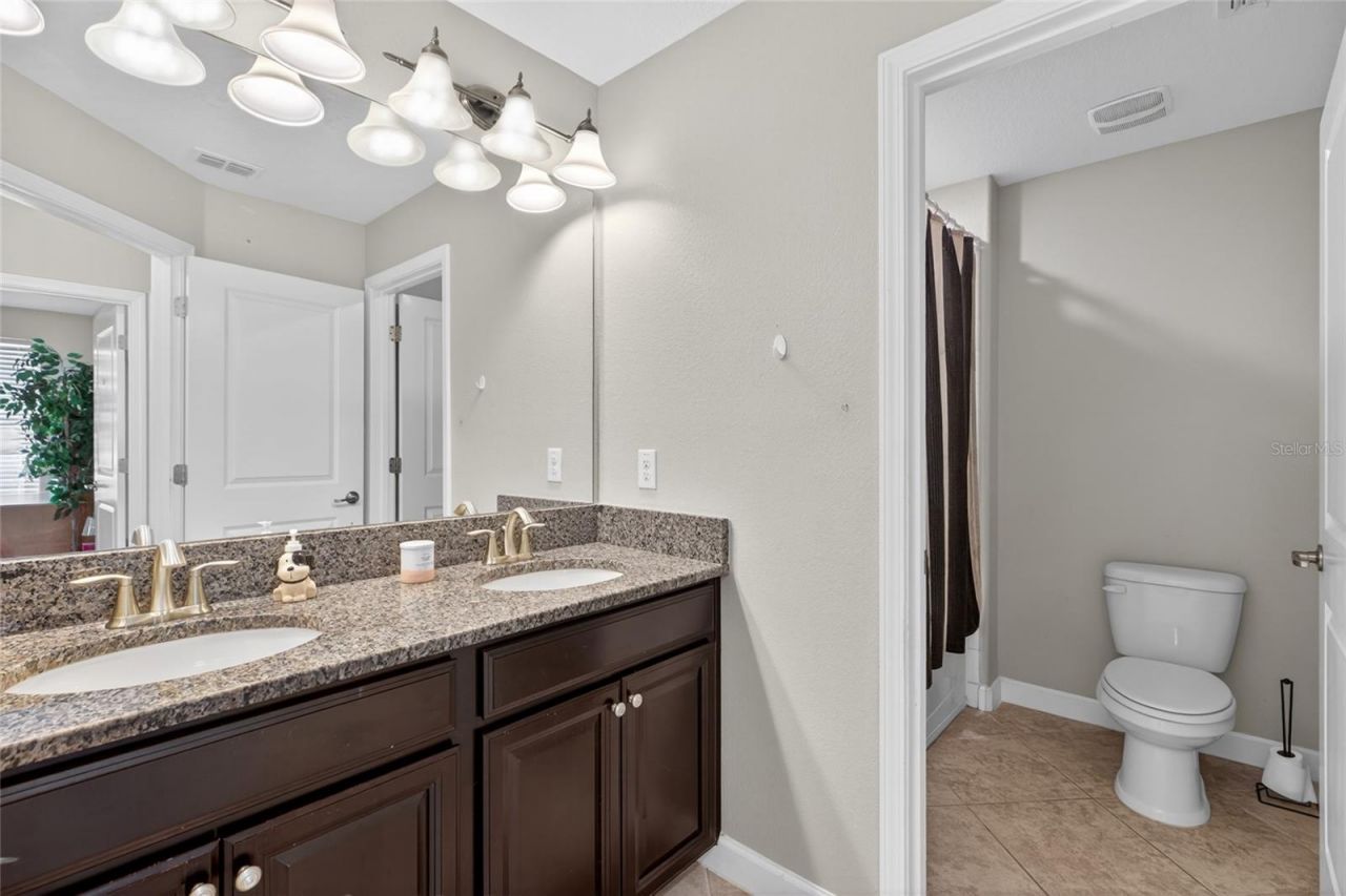 28622 Tranquil Lake Circle, Wesley Chapel, FL 33543 Photo