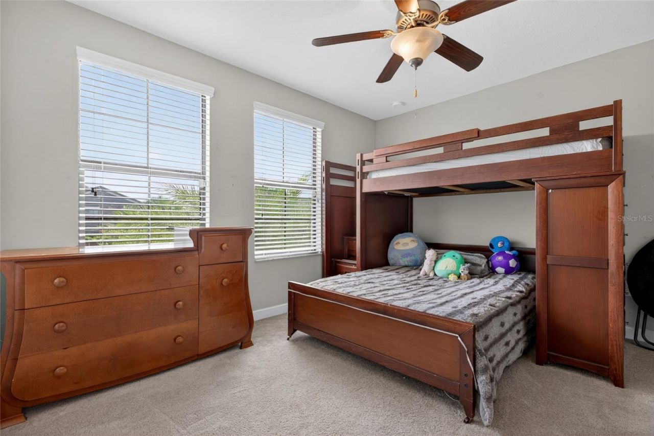 28622 Tranquil Lake Circle, Wesley Chapel, FL 33543 Photo