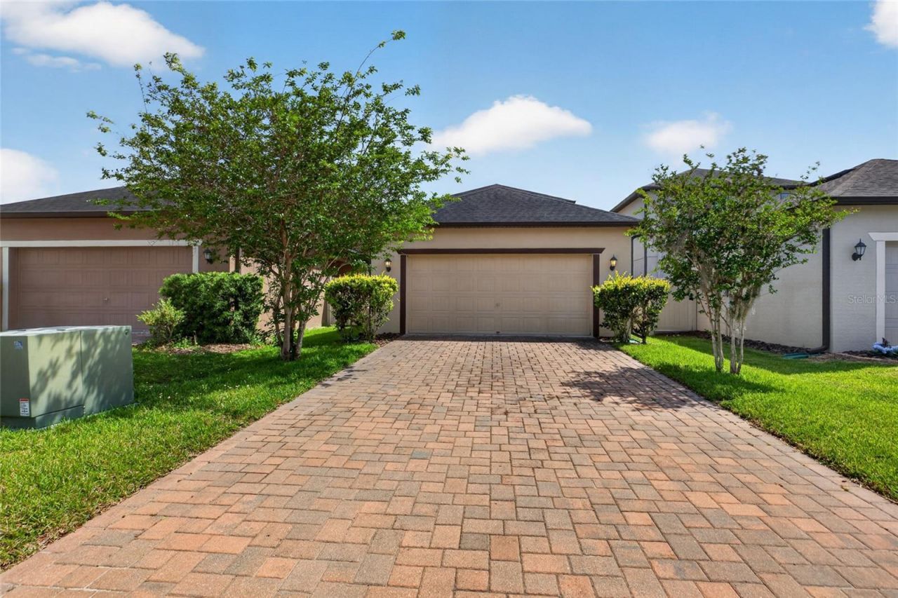 28622 Tranquil Lake Circle, Wesley Chapel, FL 33543 Photo
