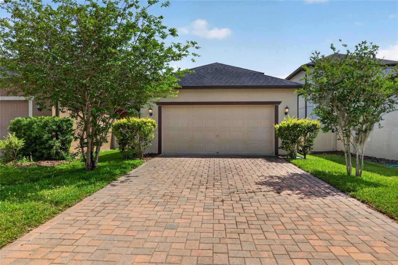 28622 Tranquil Lake Circle, Wesley Chapel, FL 33543 Photo
