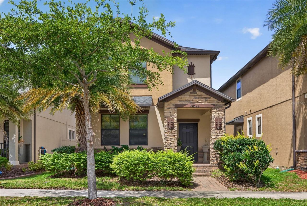 28622 Tranquil Lake Circle, Wesley Chapel, FL 33543 Photo