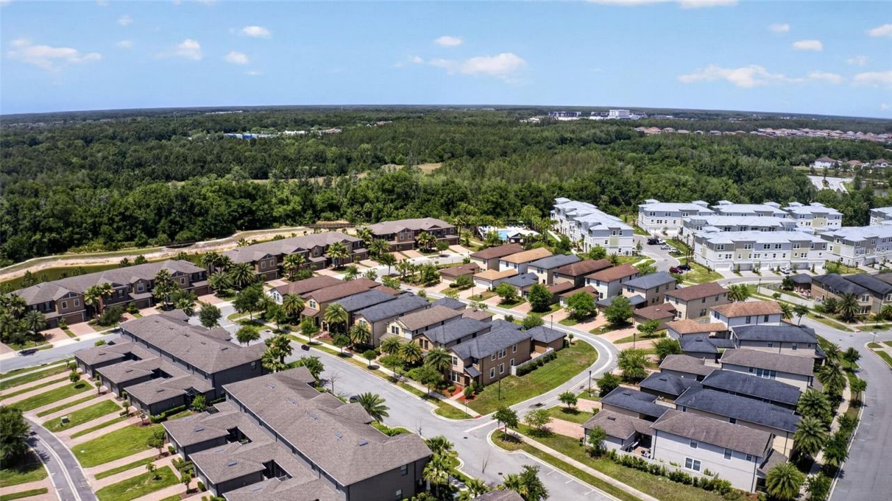 28622 Tranquil Lake Circle, Wesley Chapel, FL 33543 Photo