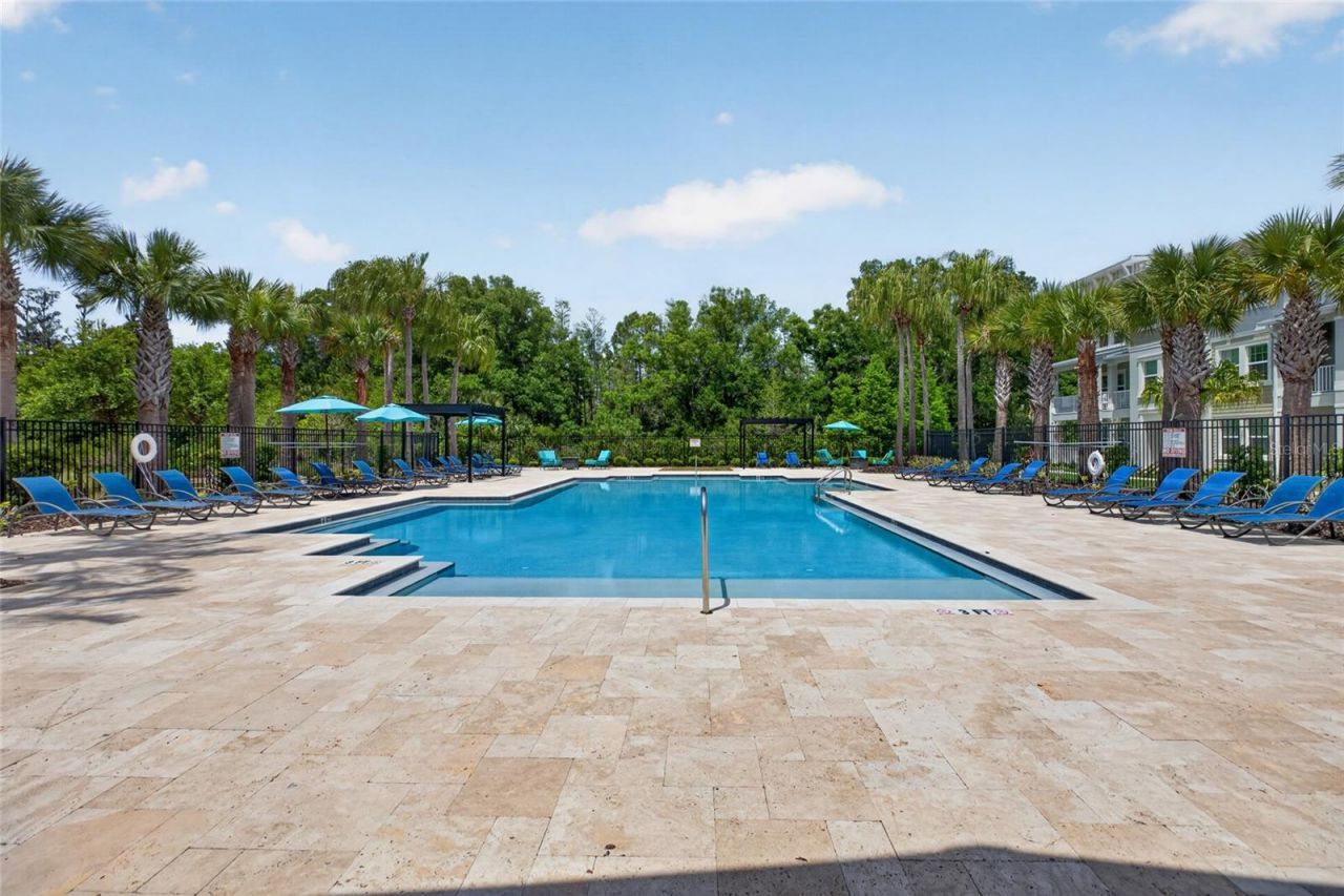 28622 Tranquil Lake Circle, Wesley Chapel, FL 33543 Photo