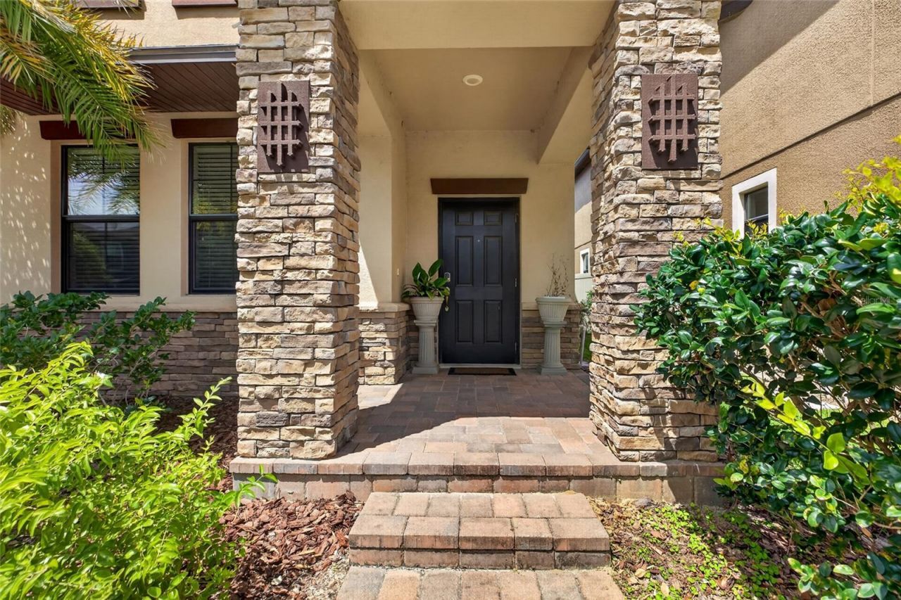 28622 Tranquil Lake Circle, Wesley Chapel, FL 33543 Photo