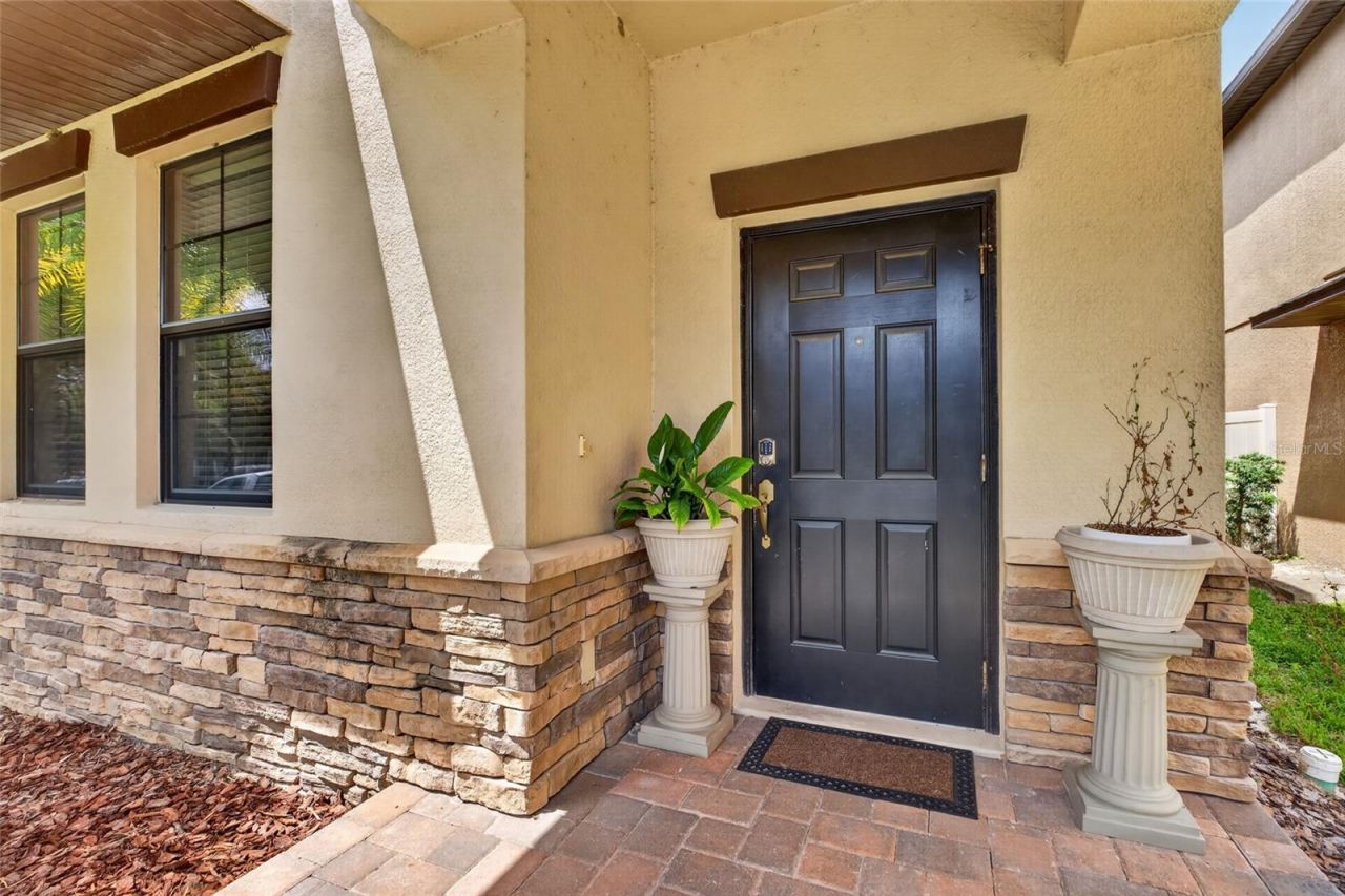 28622 Tranquil Lake Circle, Wesley Chapel, FL 33543 Photo