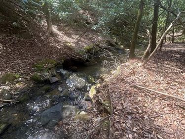 6.56acre Liberty Hill Road, Blairsville, GA 30512