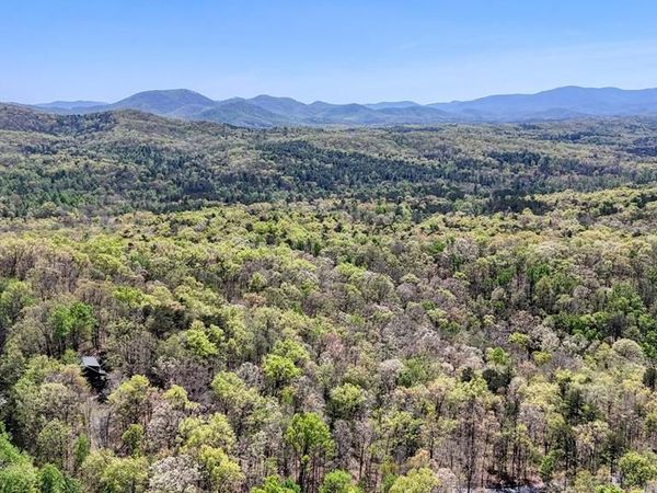 36.78 AC Old Hwy 76, Morganton, GA 30560