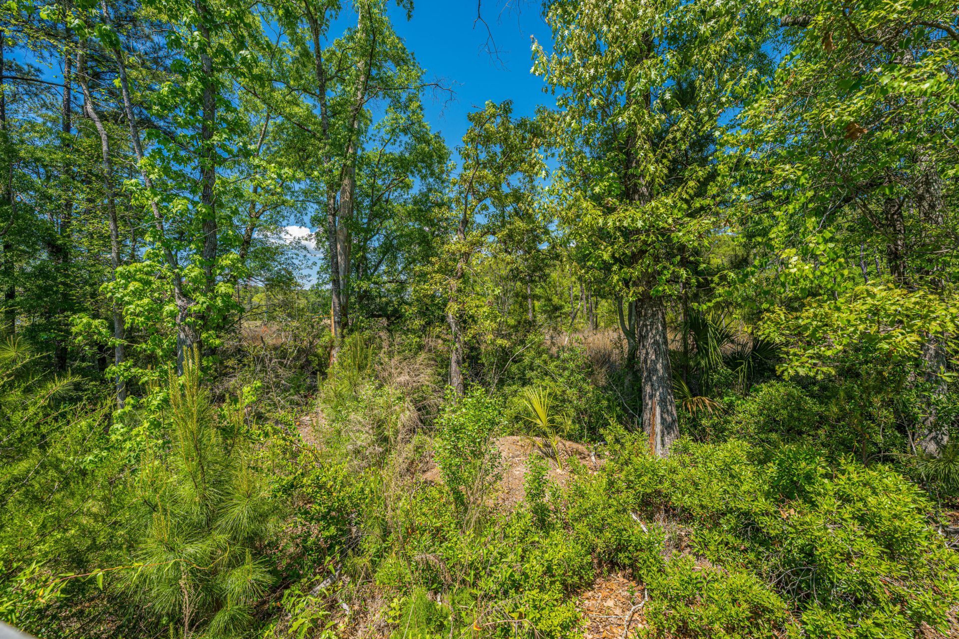 218 Port Tack Drive Photo 50