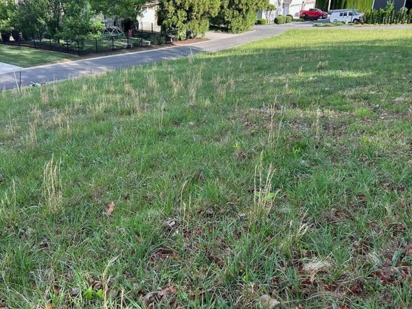 Lot 12 Ridge Park Drive, Cleveland, TN 37311