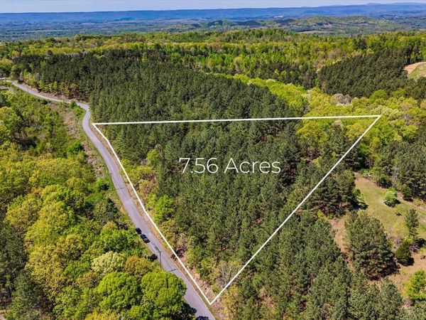 Lot 2 Rynes Road, Decatur, TN 37322