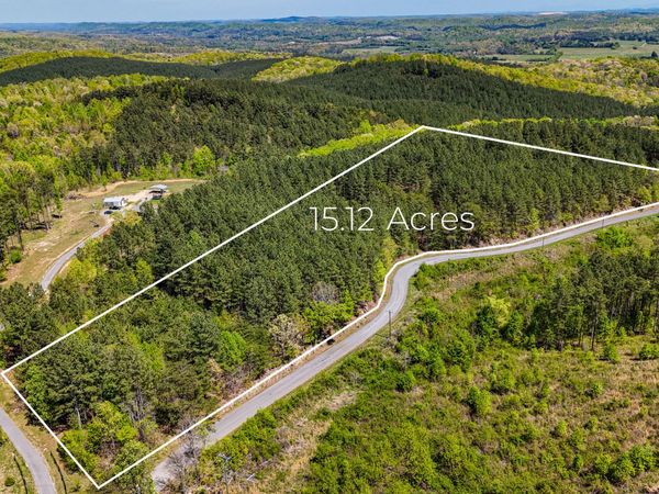 15.12 Acre Rynes Road, Decatur, TN 37322