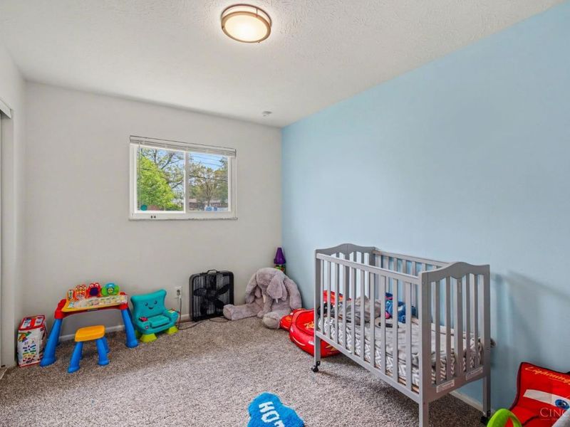 2422 Bluelark Drive, Cincinnati, OH 45231 Photo 12