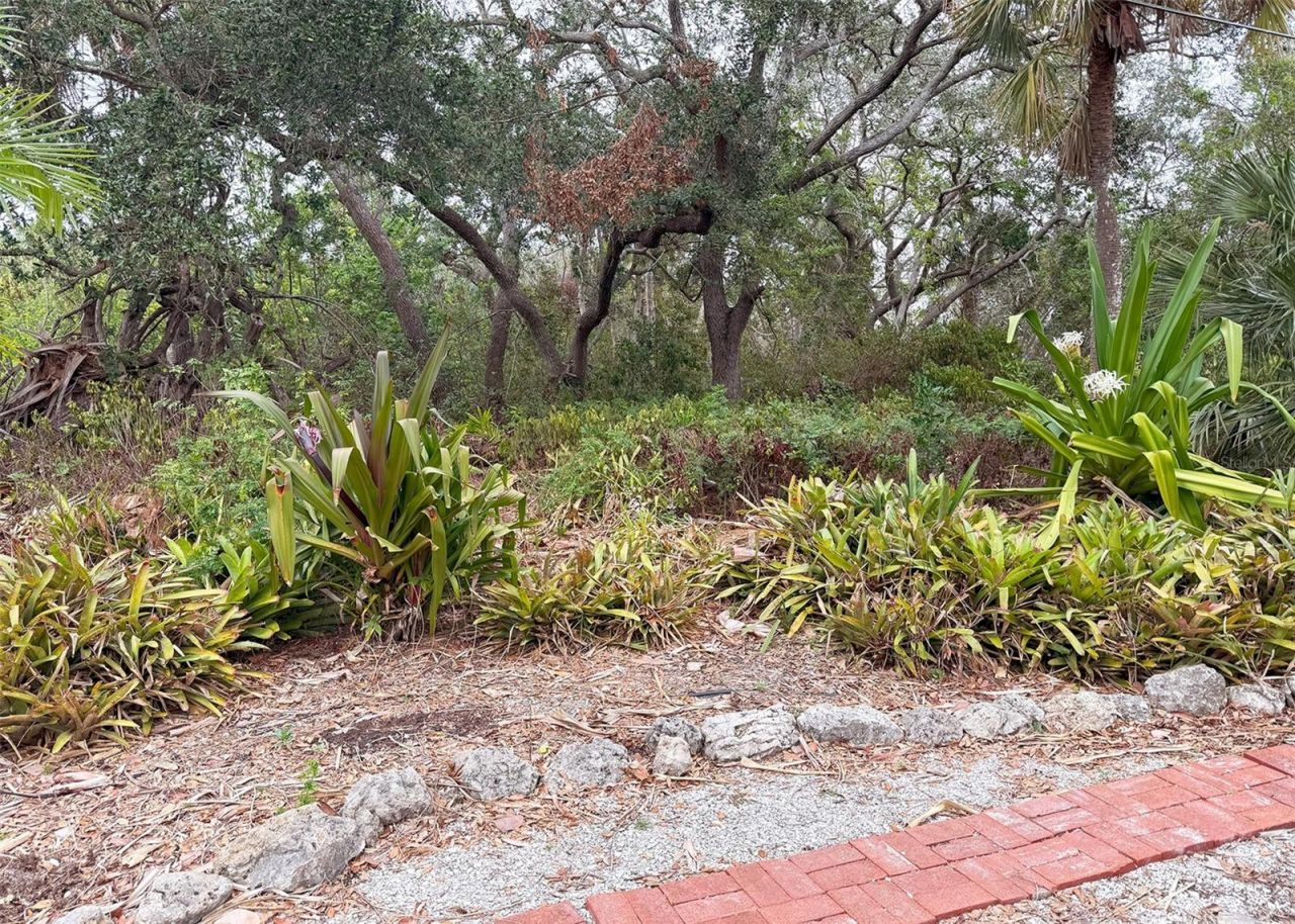 5353 Shadow Lawn Drive, Sarasota, FL 34242 Photo