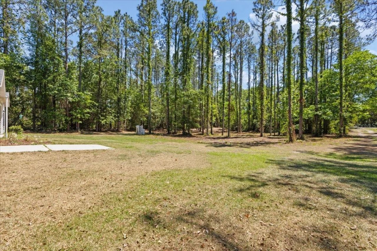 700 SW 105th Street, Trenton, FL 32693 Photo