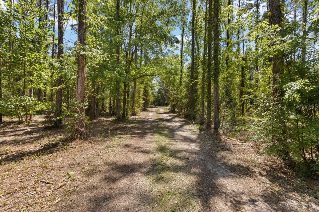 700 SW 105th Street, Trenton, FL 32693 Photo