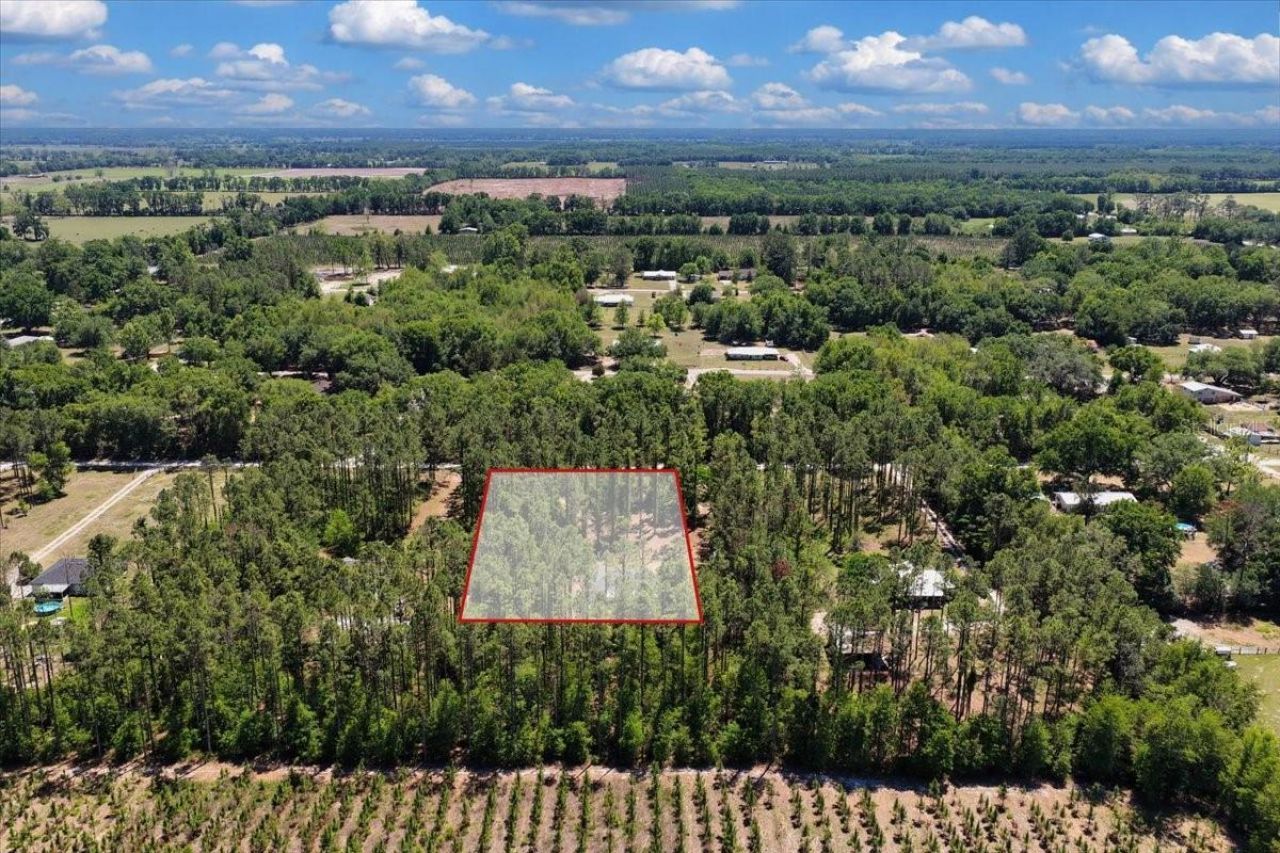 700 SW 105th Street, Trenton, FL 32693 Photo