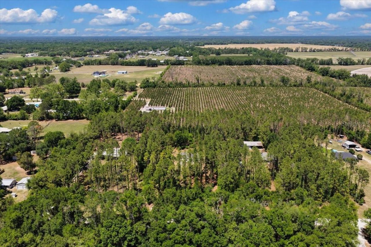 700 SW 105th Street, Trenton, FL 32693 Photo