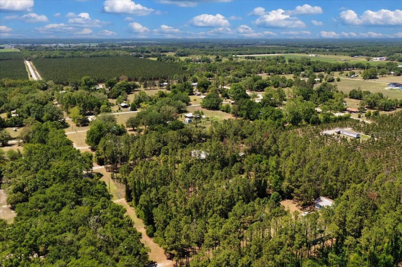 700 SW 105th Street, Trenton, FL 32693 Photo