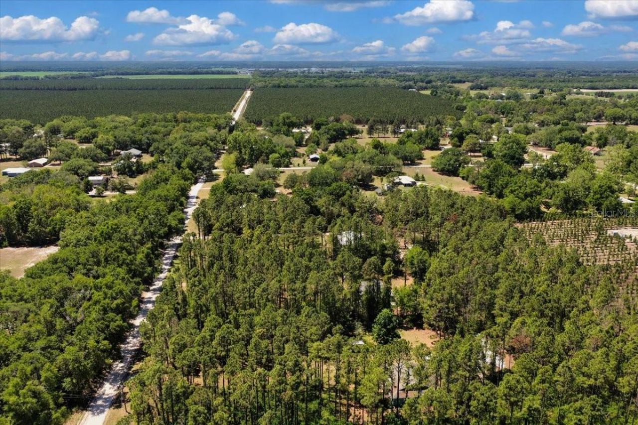 700 SW 105th Street, Trenton, FL 32693 Photo