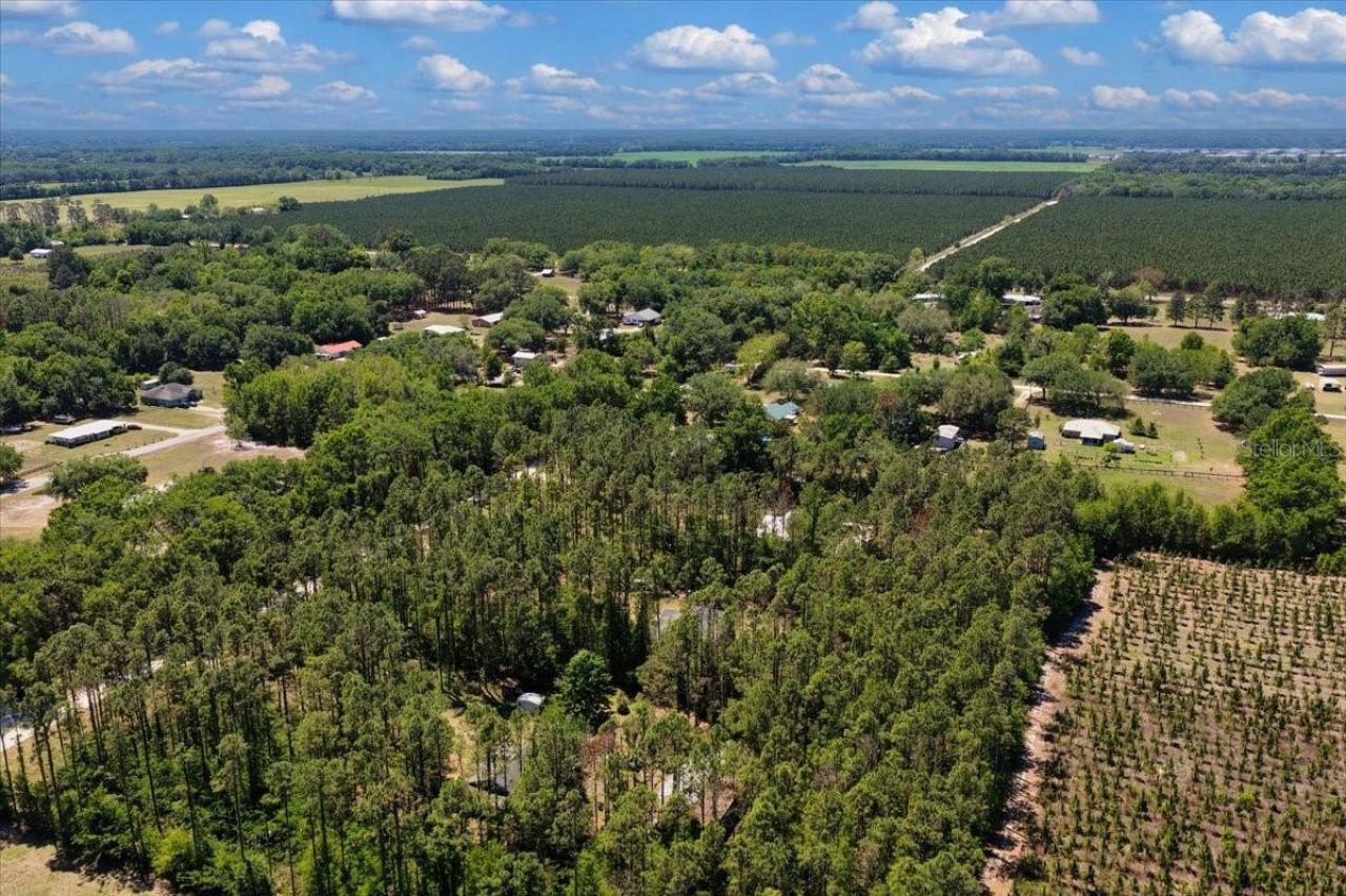 700 SW 105th Street, Trenton, FL 32693 Photo