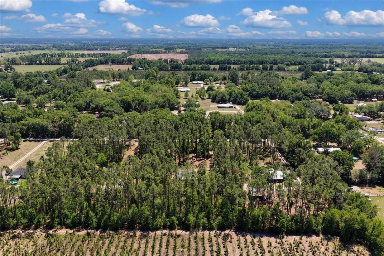 700 SW 105th Street, Trenton, FL 32693 Photo