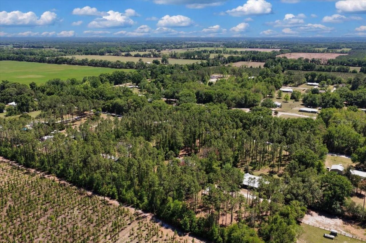 700 SW 105th Street, Trenton, FL 32693 Photo