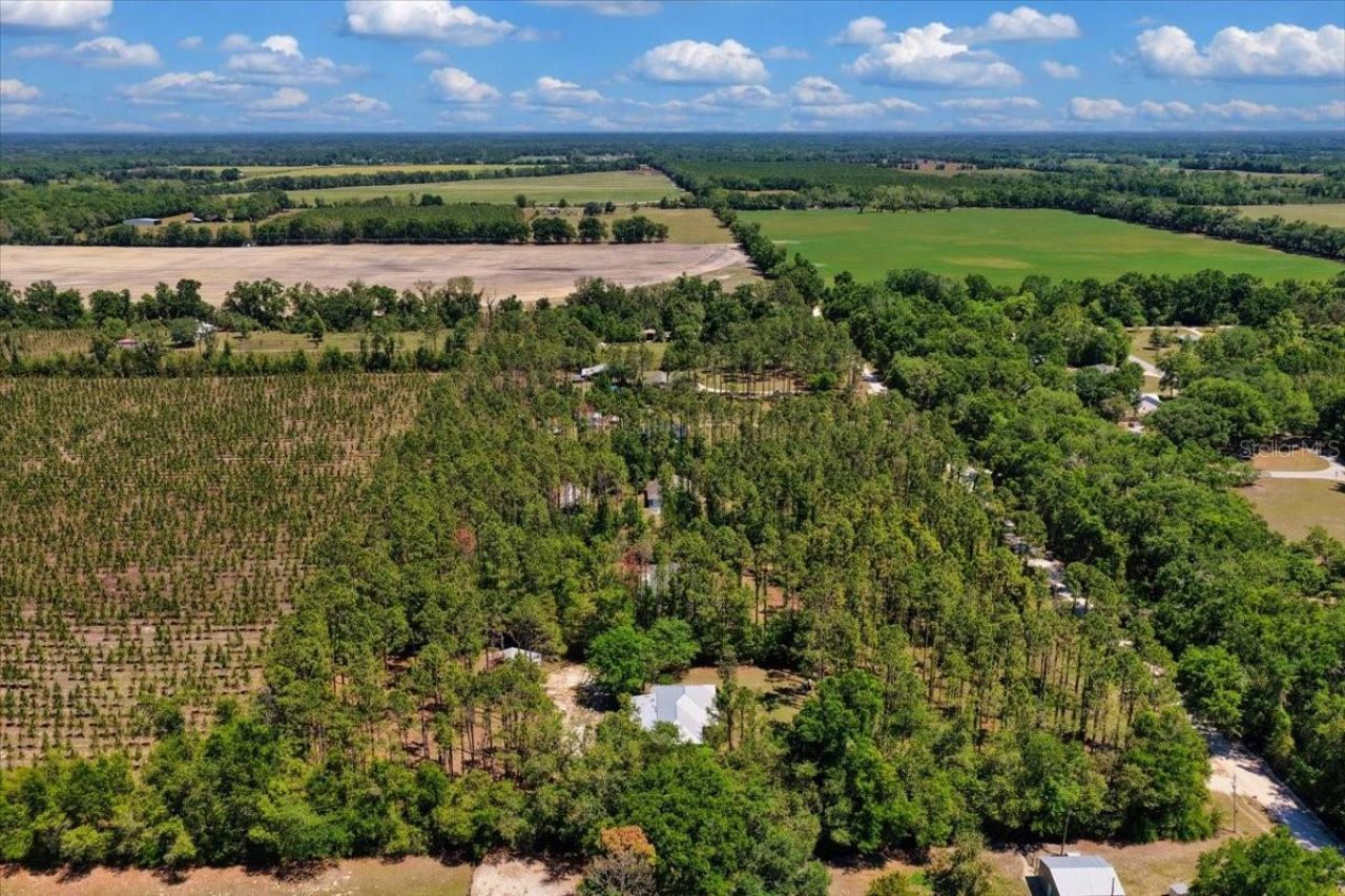 700 SW 105th Street, Trenton, FL 32693 Photo