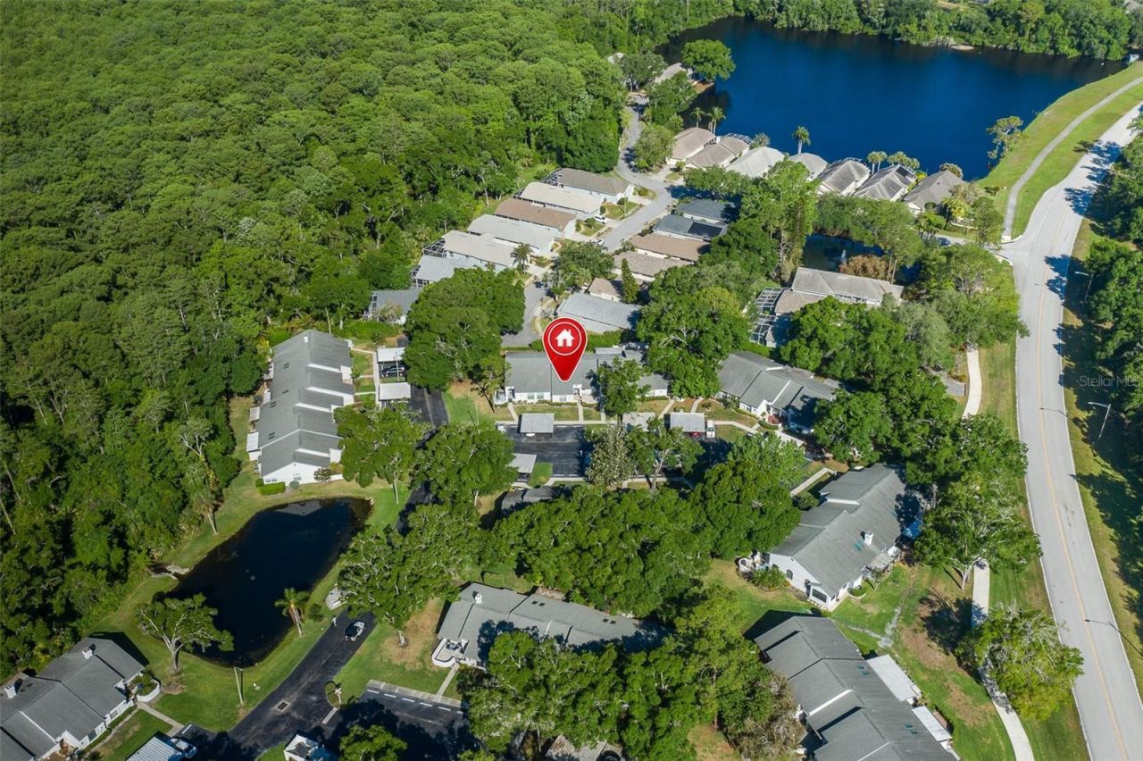 3843 Goldfinch Court, Palm Harbor, FL 34685 Photo