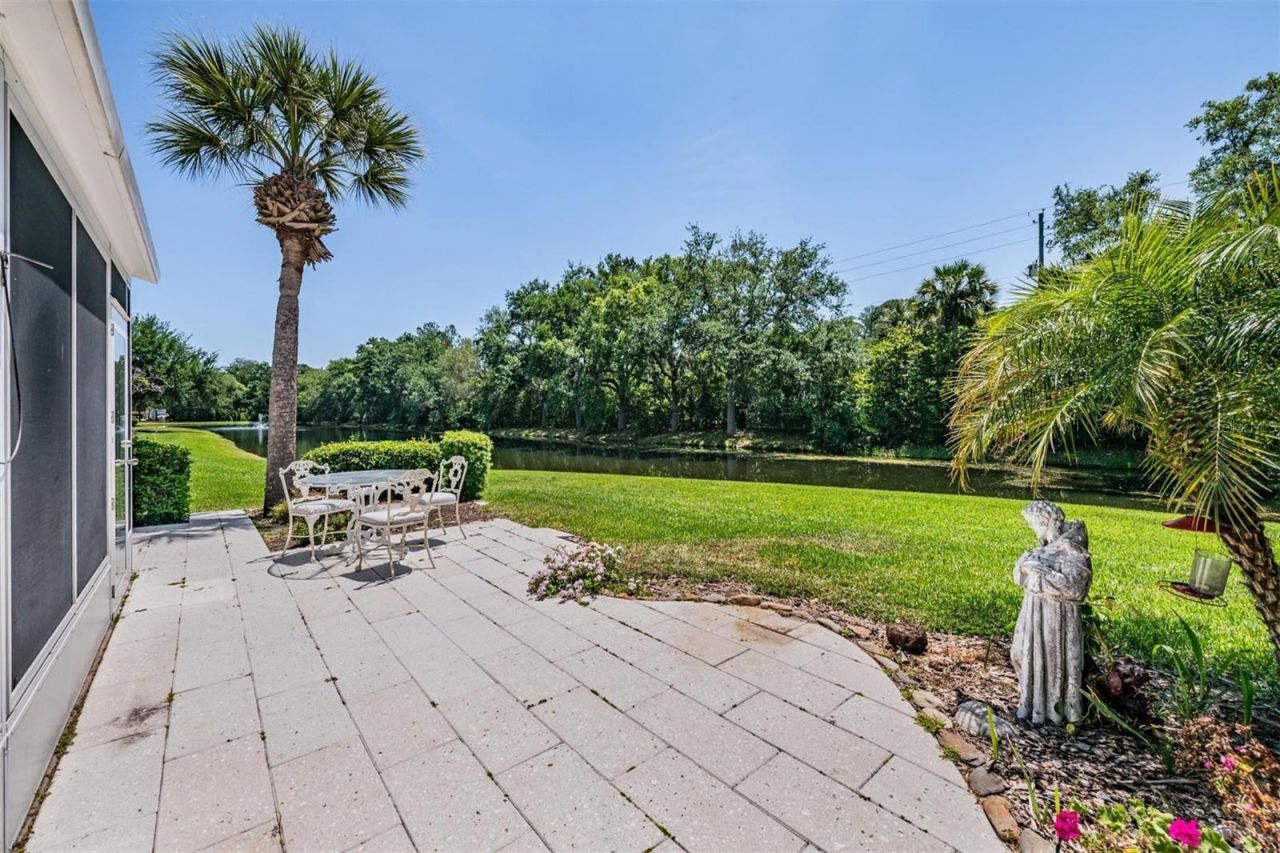 12752 Aston Creek Drive, Tampa, FL 33626 Photo