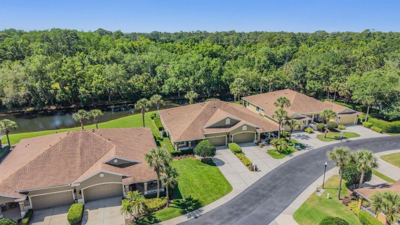 12752 Aston Creek Drive, Tampa, FL 33626 Photo