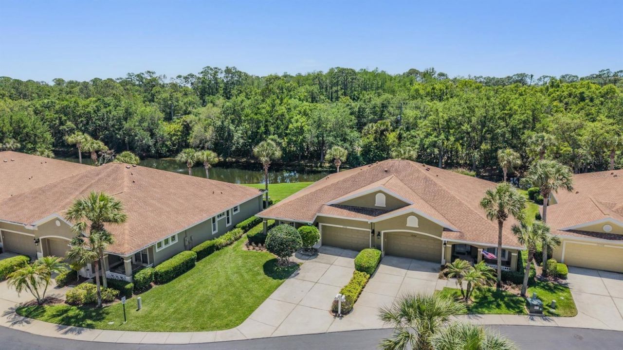 12752 Aston Creek Drive, Tampa, FL 33626 Photo