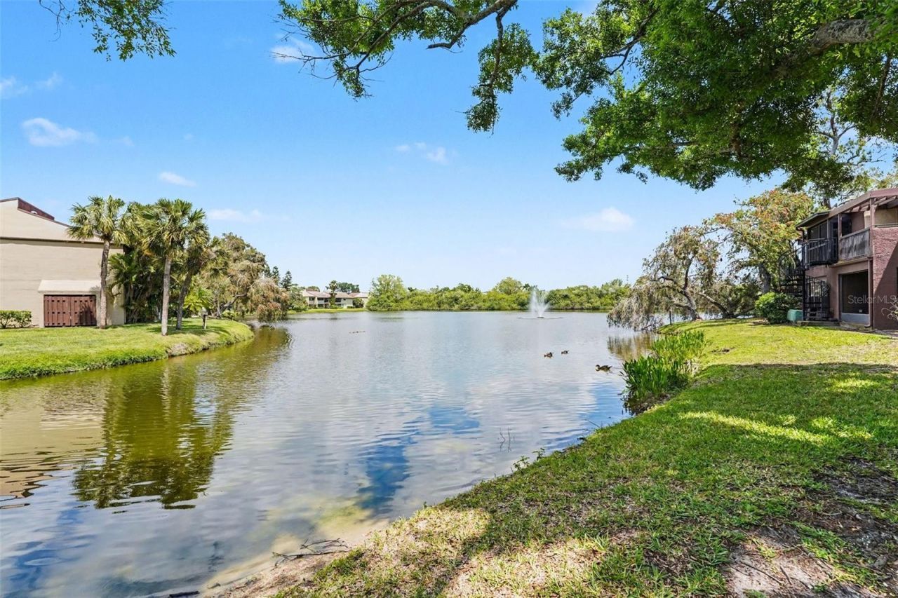 10755 Village Club Circle N, Unit 101, Saint Petersburg, FL 33716 Photo