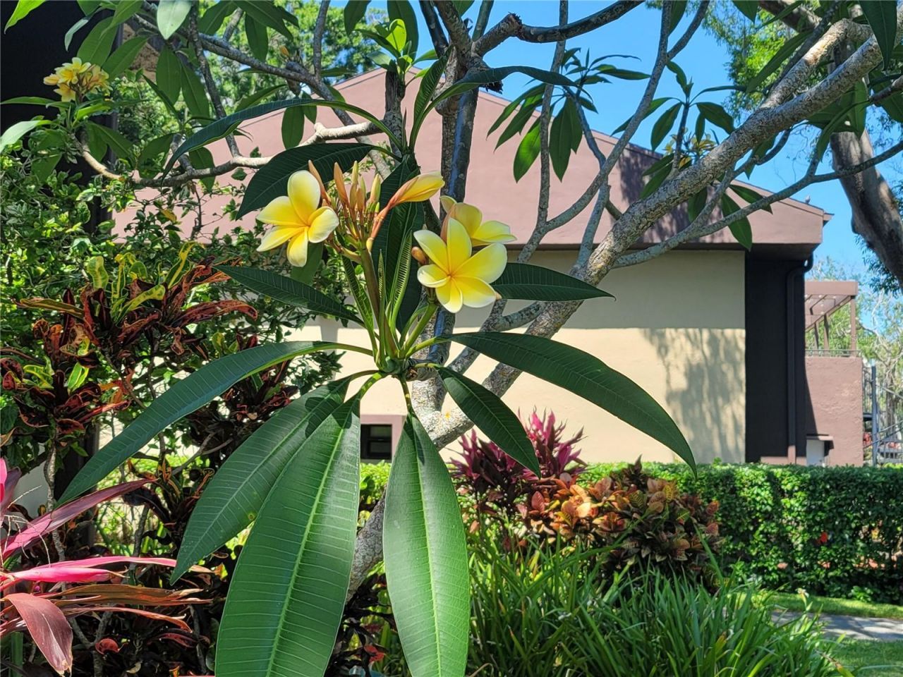 10755 Village Club Circle N, Unit 101, Saint Petersburg, FL 33716 Photo