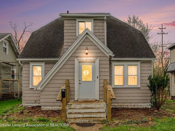 239 W Palmer Avenue, Jackson, MI 49203