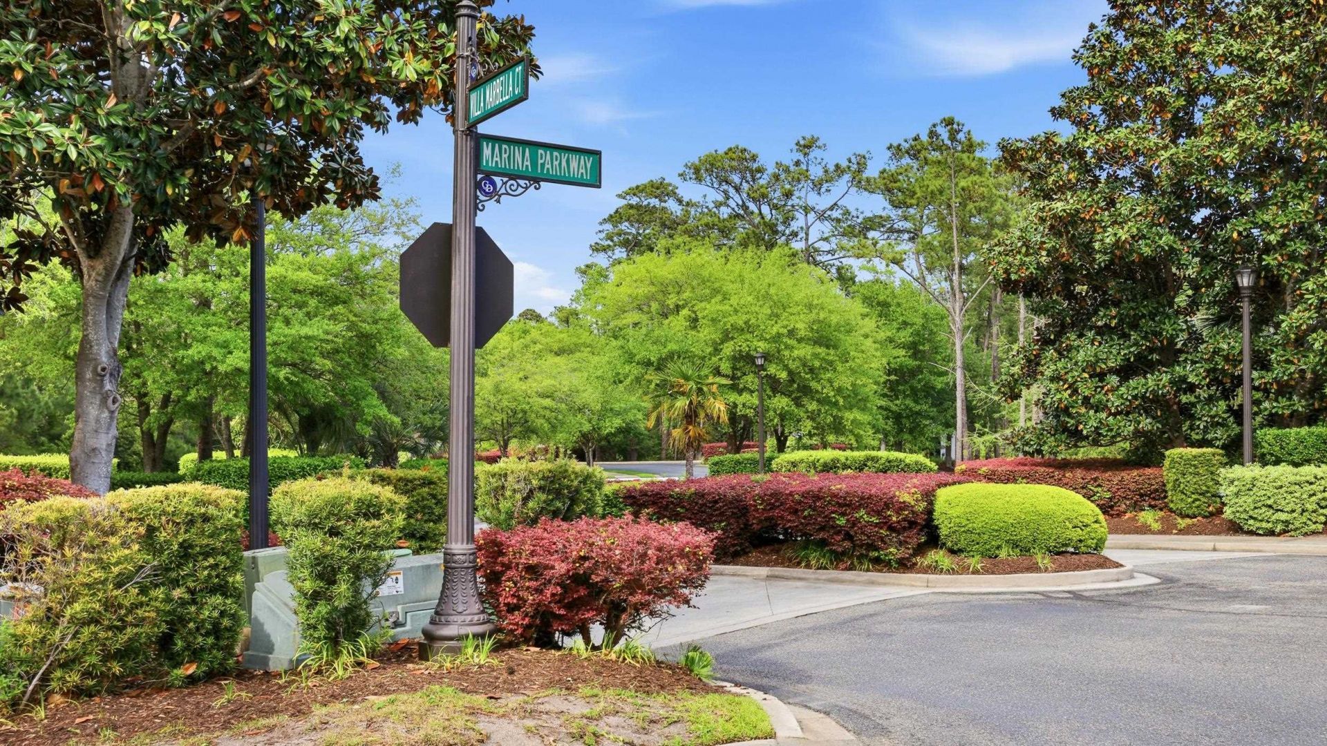 1313 Villa Marbella Ct. Photo 67