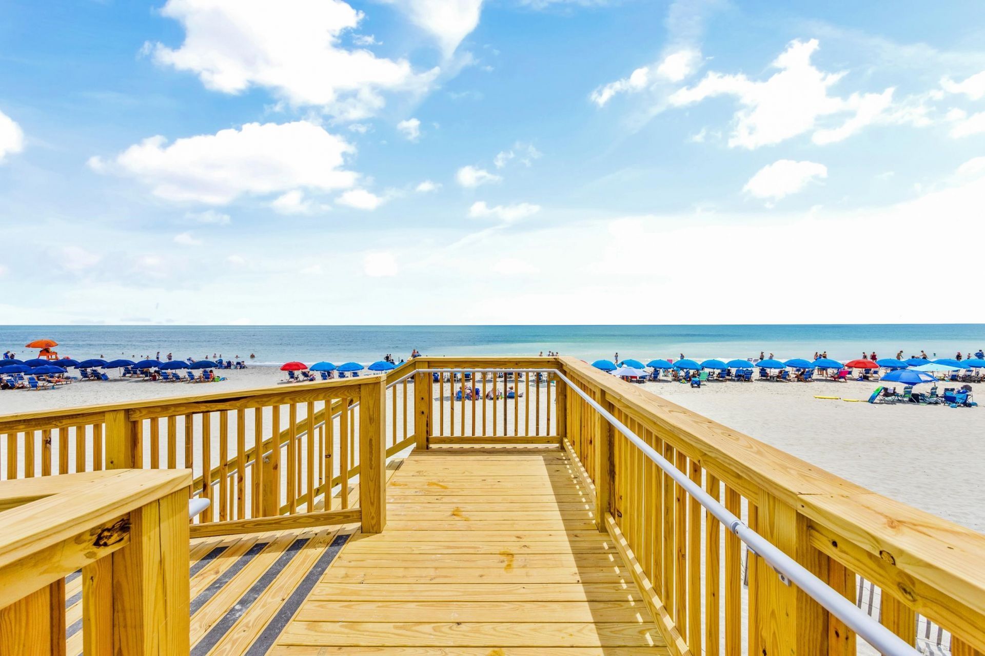 1313 Villa Marbella Ct. Photo 79