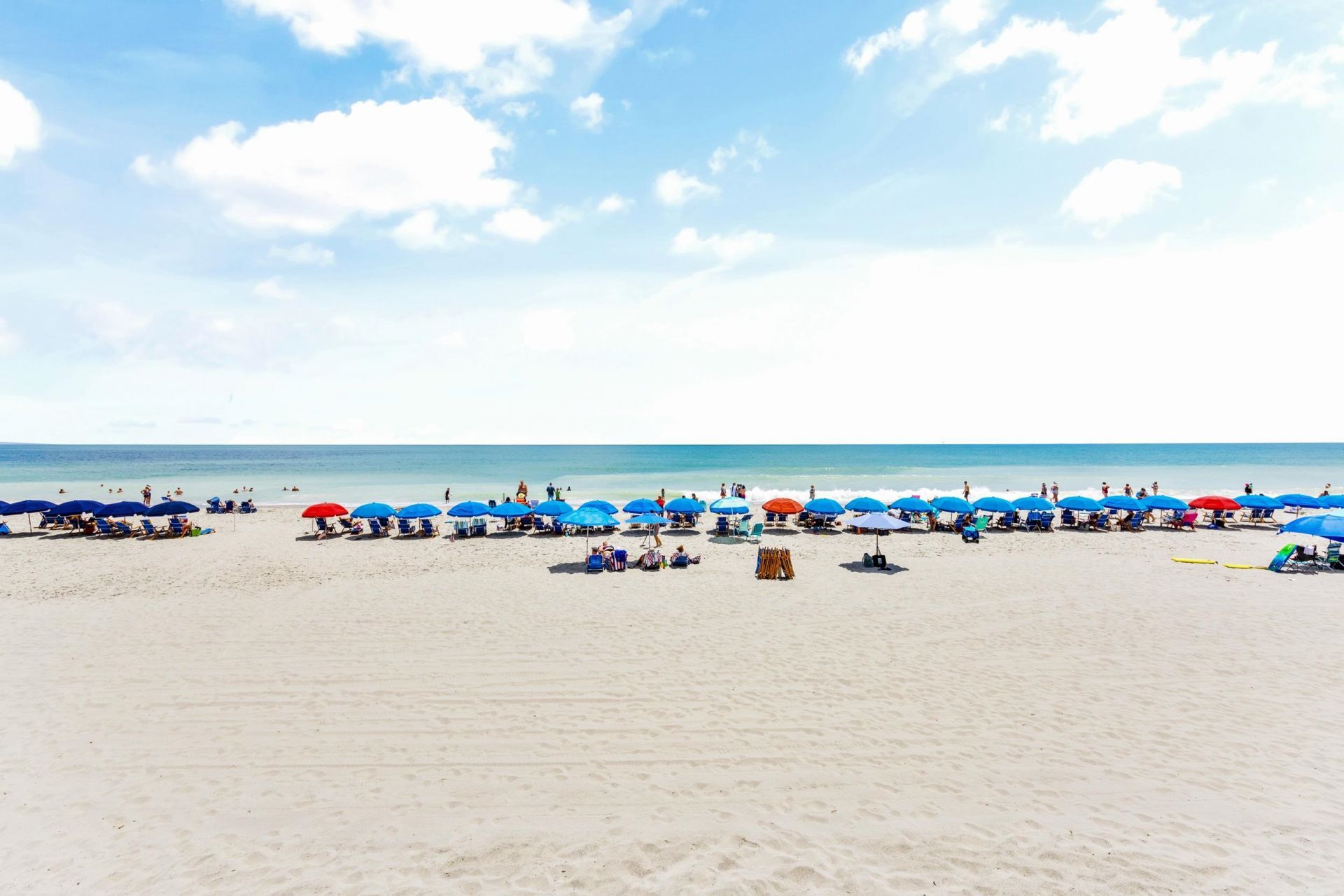 1313 Villa Marbella Ct. Photo 80