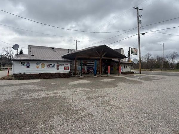 4203 N Abbe Road, Comins, MI 48619